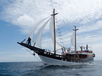 Akomo Isseki Raja Ampat Komodo