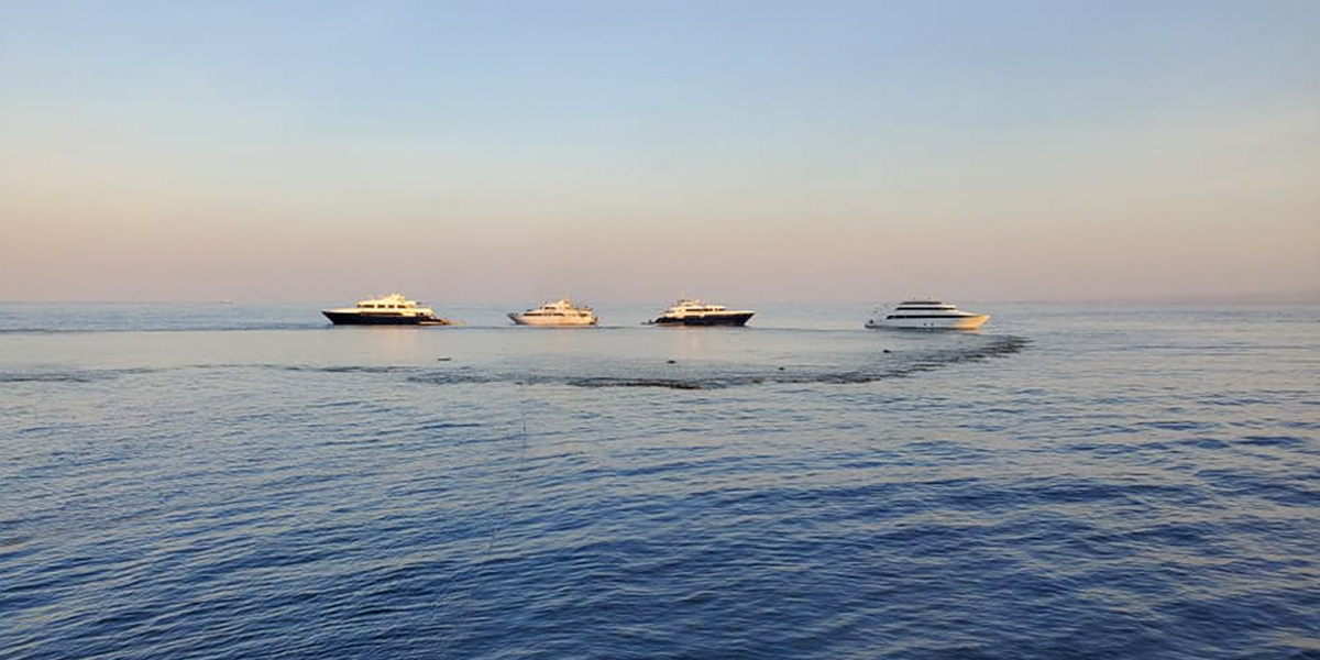 Liveaboards At The Straits Of Gubal Liveaboard Diving