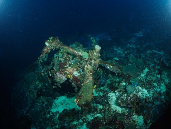 Japanese fighter plane scuba diving Cenderawasih Bay No Troubles Just Bubbles