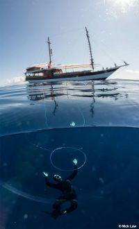Kira-Kira-Liveaboard-Indonesia