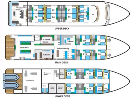 Blue-Manta-Layout