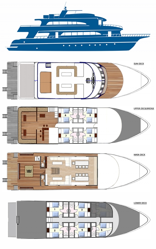 Blue Force 2 layout