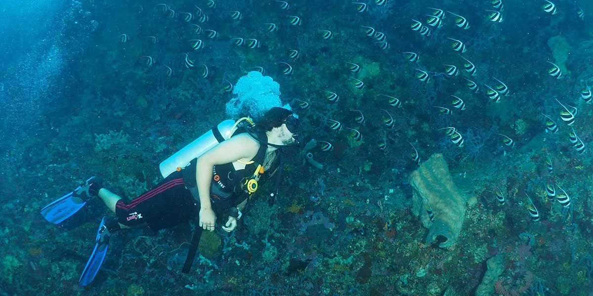 Thaa Atoll Liveaboard Diving