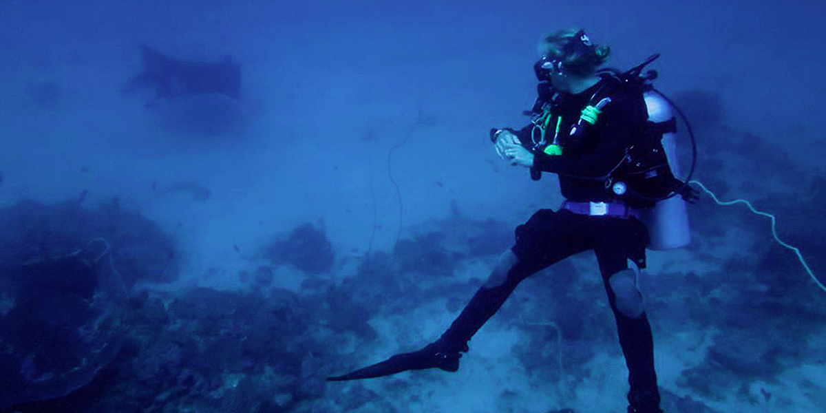 Diver Looking At A Manta Ray At High Rock Mergui Archipelago Myanmar Burma Liveaboard Diving