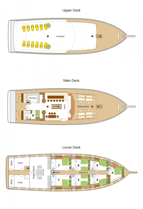 Nautilus one layout