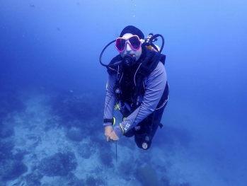 Nassareen diving on the Junk July 2020