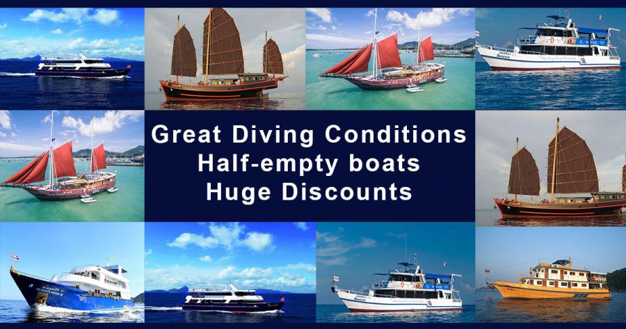The Effects of Covid 19 and scuba diving intro