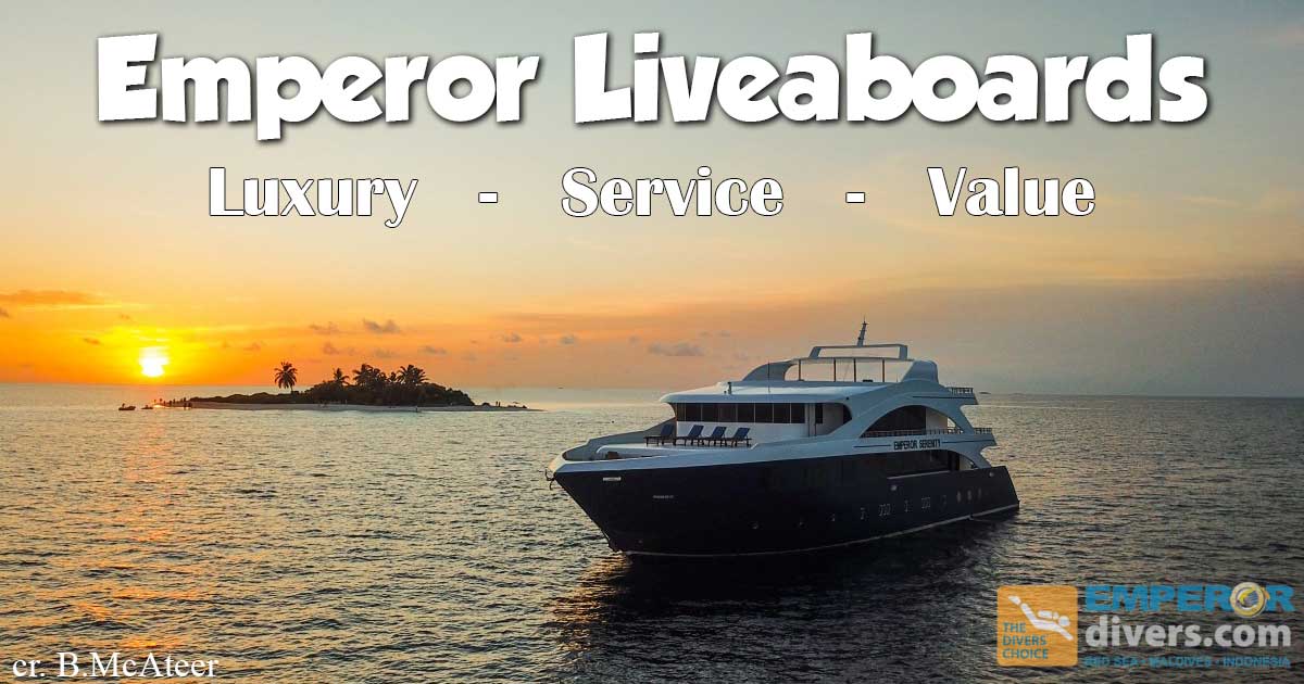 Emperor divers best of everything intro