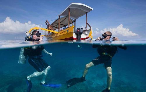 Everything You Need to Know About Liveaboard Diving intro