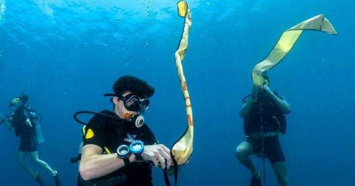 smb Surface Marker Buoy