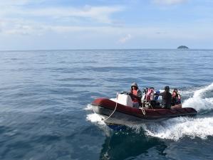Using tender dinghies