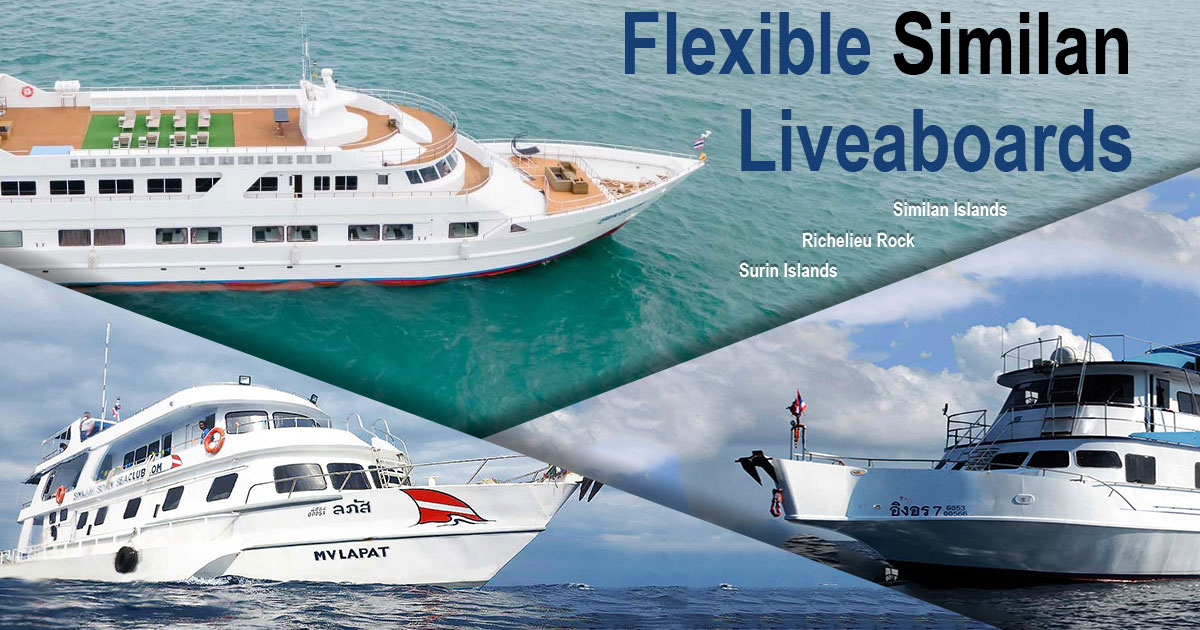 Flexible liveaboard diving similan islands richelieu rock surin islands intro