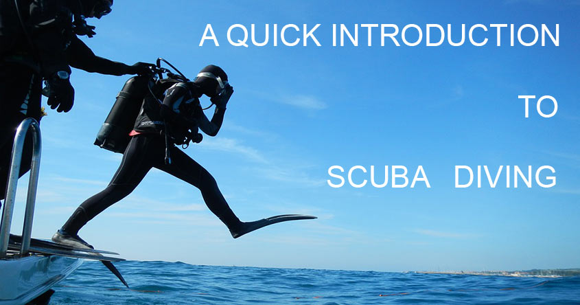 quick introduction to scuba diving