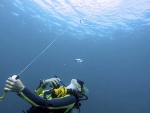 safety stop bubble rings