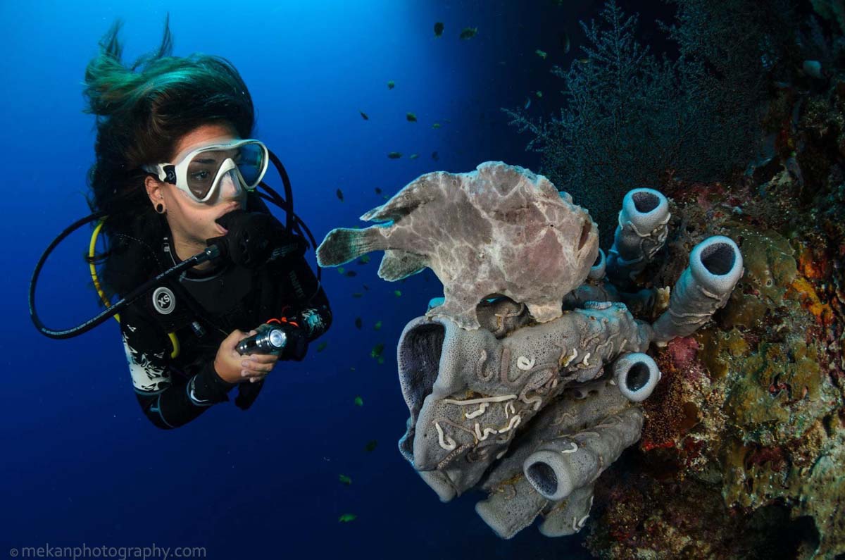 Scuba Diving Insurance Cheap Safe Often Mandatory