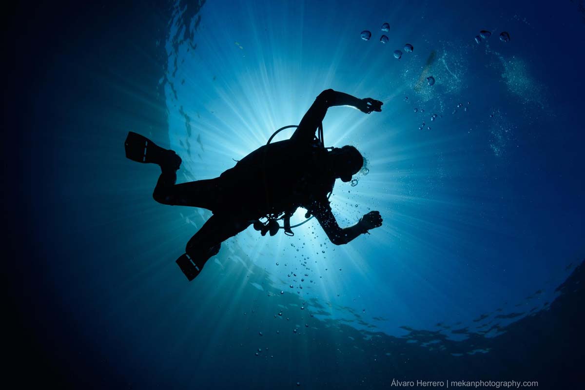 scuba diver silhouette