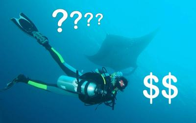 the true cost of a diving trip intro