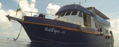 MV Miss Moon