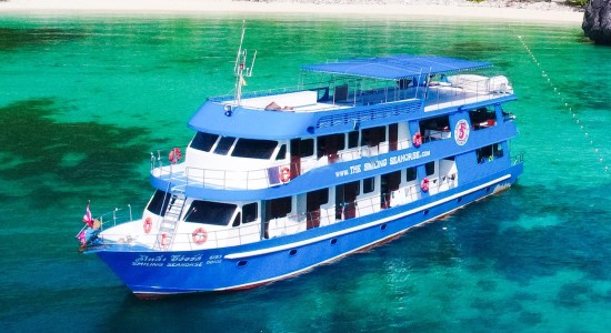 Smiling seahorse liveaboard Thailand Similan & Burma Myanmar