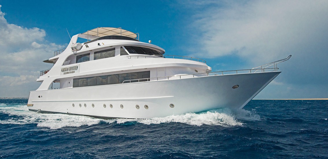 Amelia Live aboard Egypt