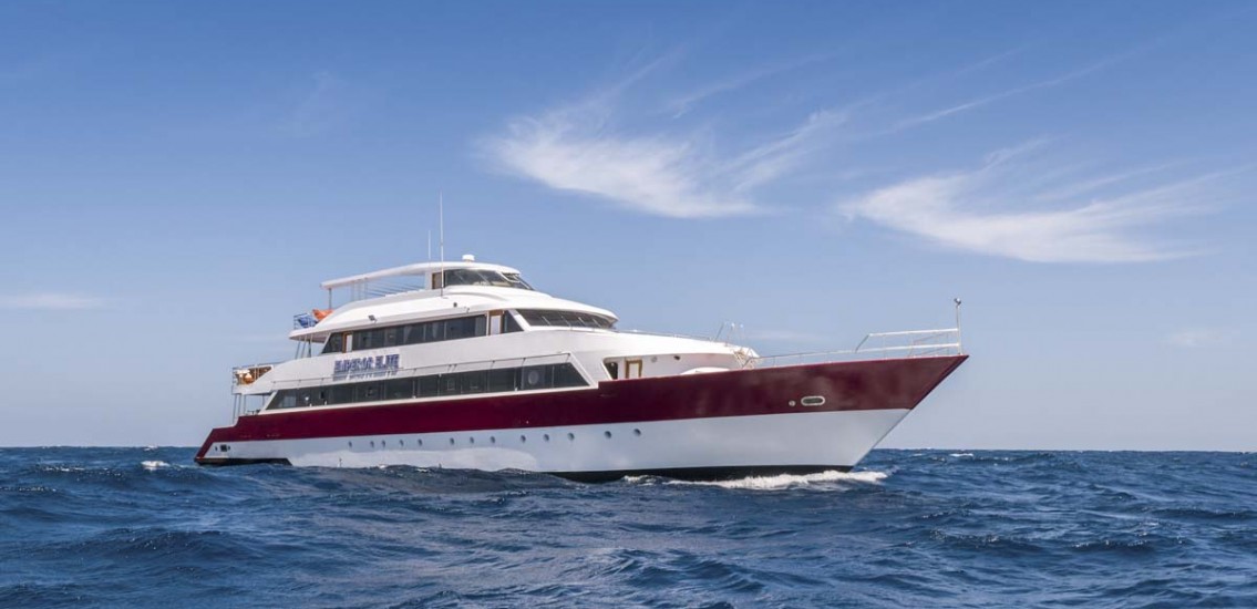 Emperor Elite Liveaboard Red Sea Egypt