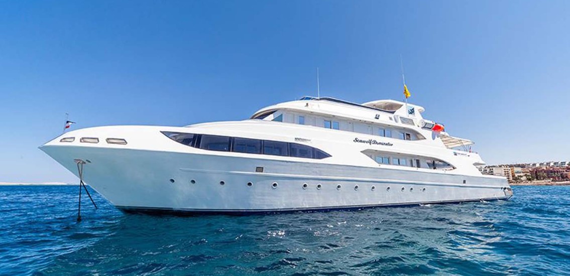 Seawolf Dominator Liveaboard Egypt