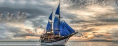 Sea Safari 6