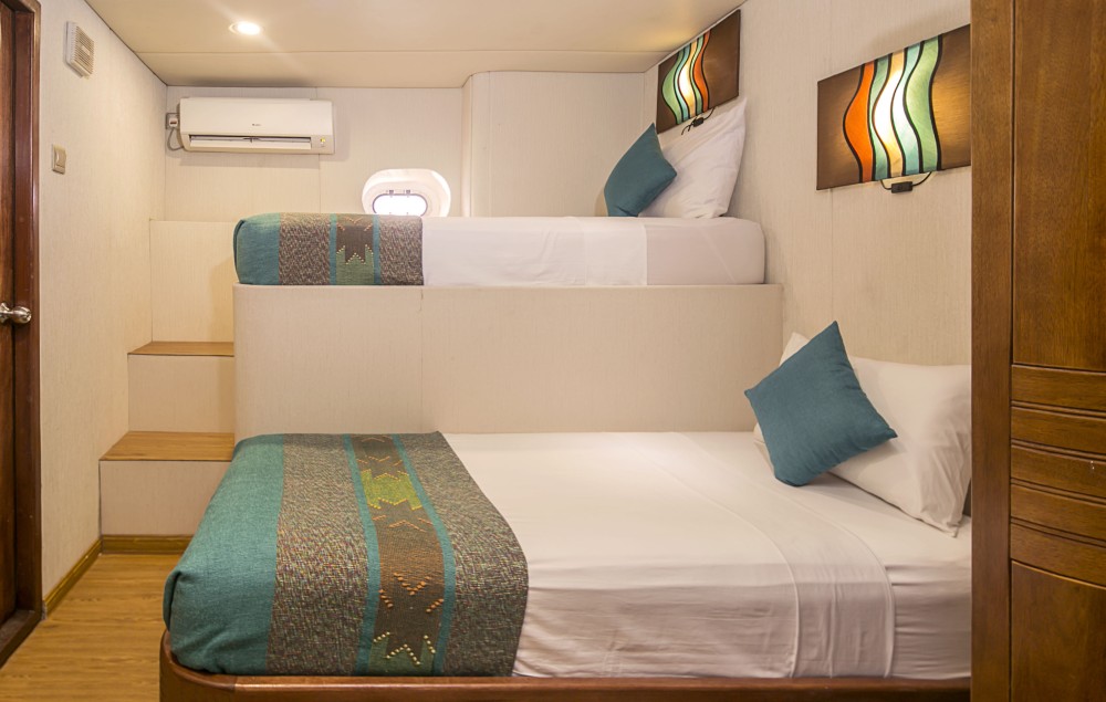 Bunk Style Lower Deck