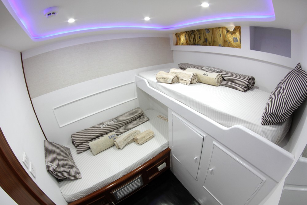 Bunk Cabin
