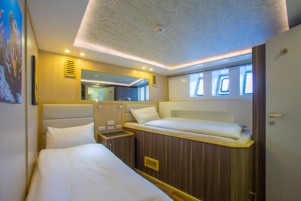 Twin Lower Deck Bow