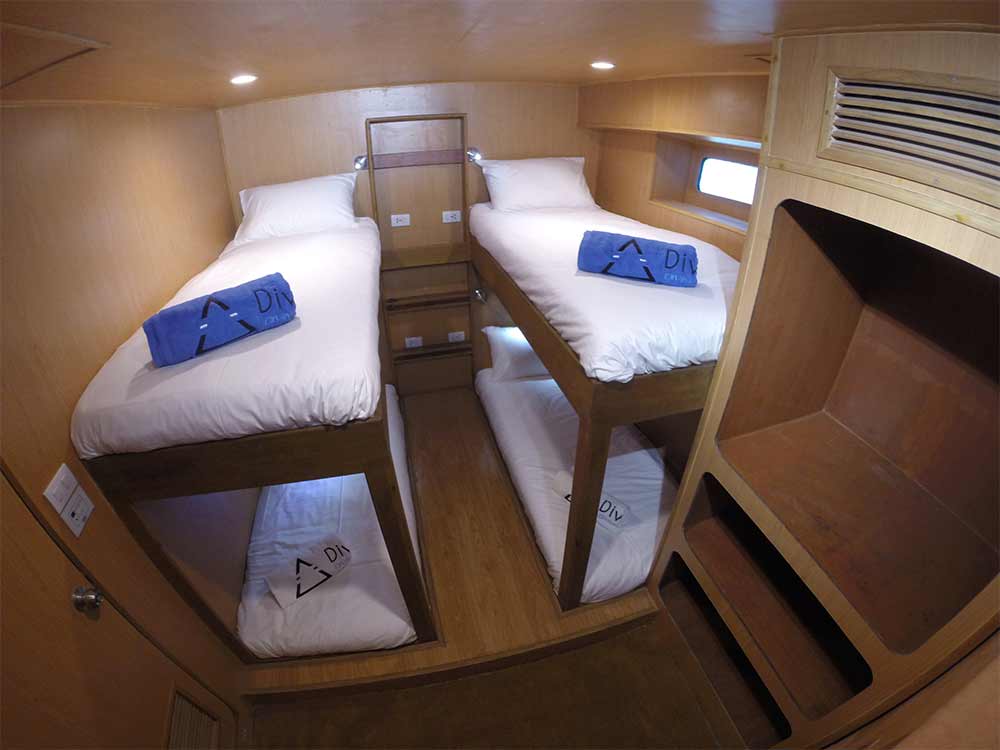 Deluxe Bunk