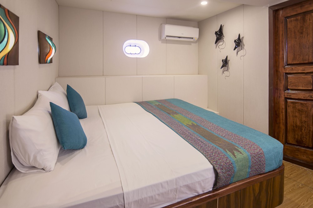 Double Lower Deck
