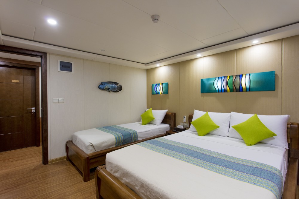 Standard Double Lower Deck