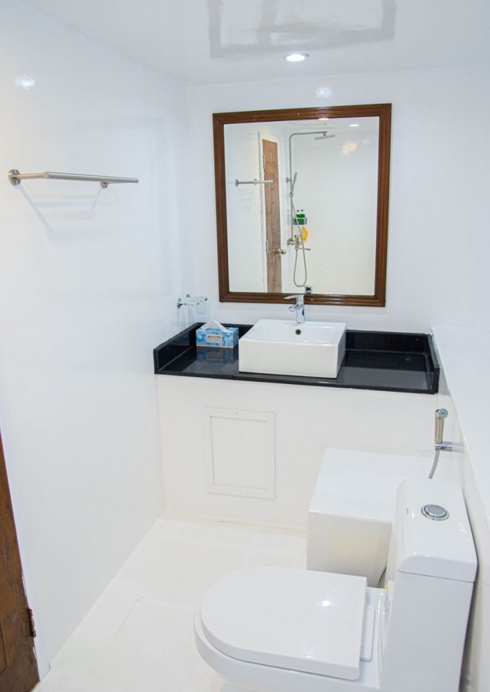 lower deck double wc