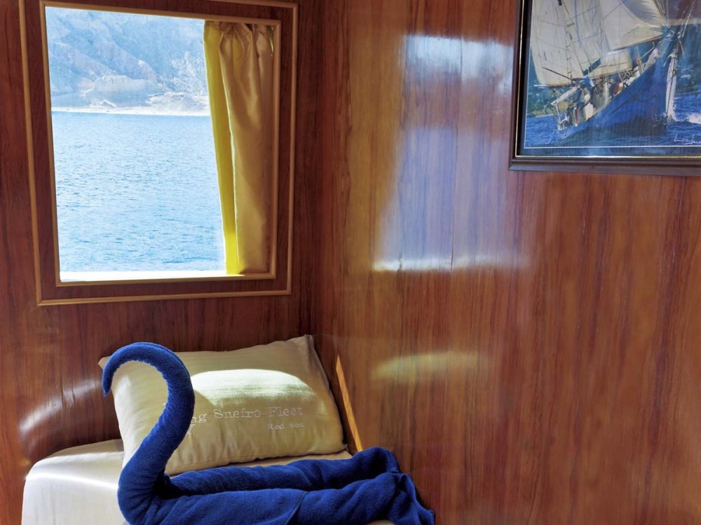 twin cabin upper deck snefro pearl