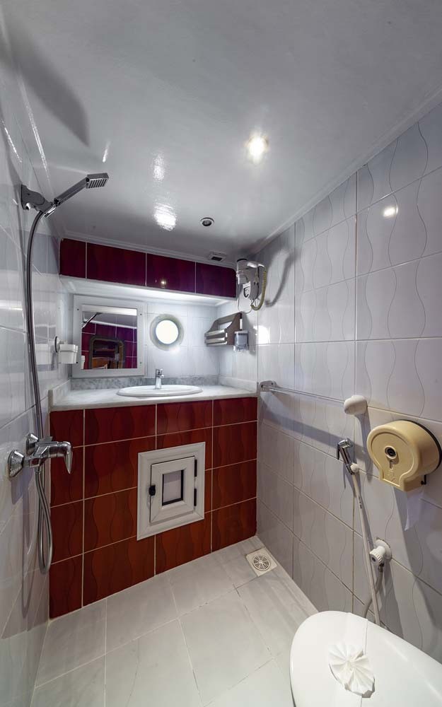 double cabin bathroom