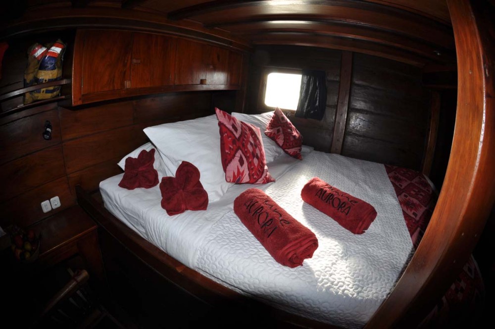 double cabin