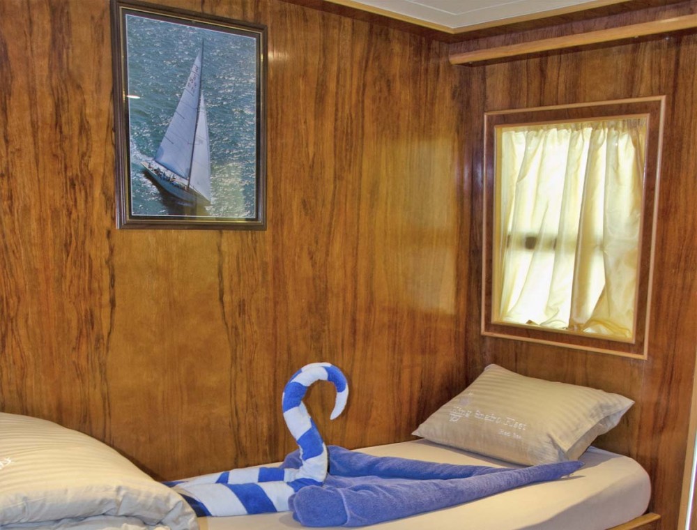 twin upper deck snefro pearl liveaboard egypt