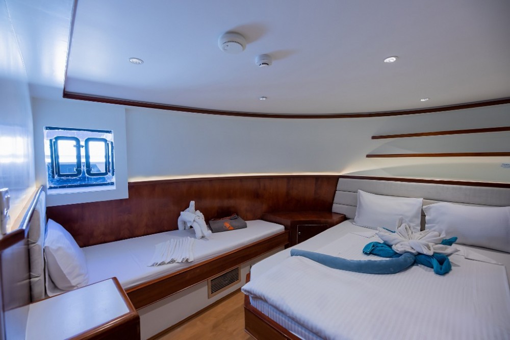 Main Deck