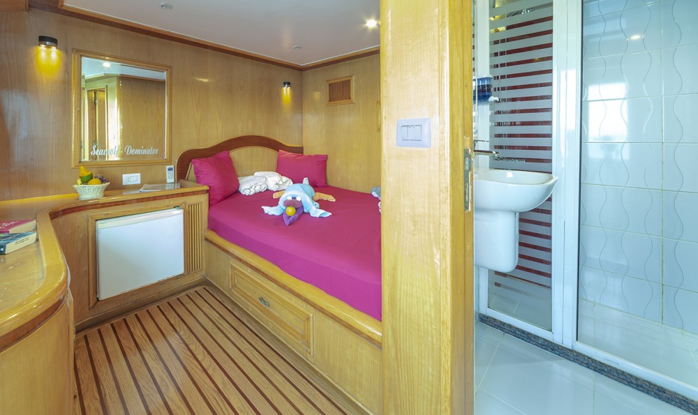 upper deck double cabin dominator