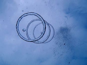 diving-rings